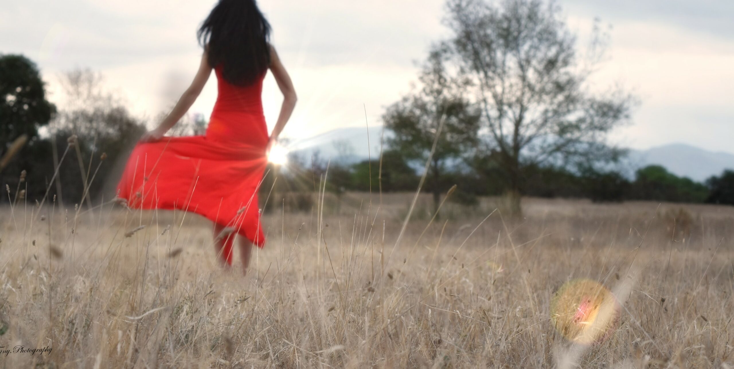 Danseuses des champs https://www.tany-corvaisier.fr/