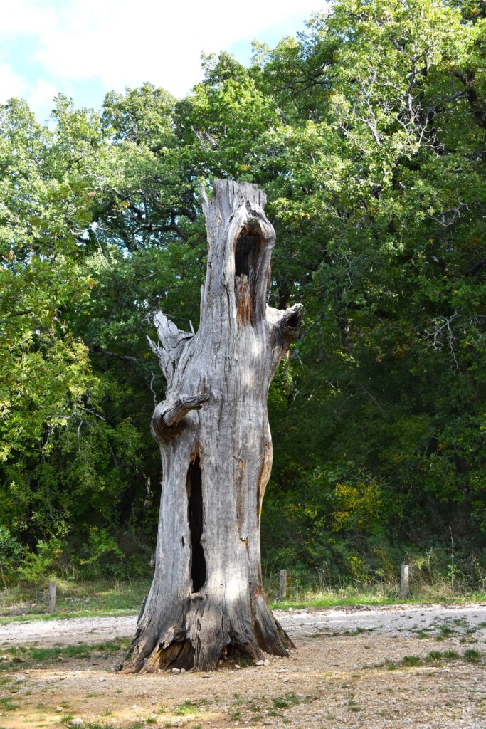 Le moine de la St Baume